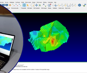 Modelamento Geológico 3D e Estimativa de Recursos minerais com Surpac e Datamine Studio RM